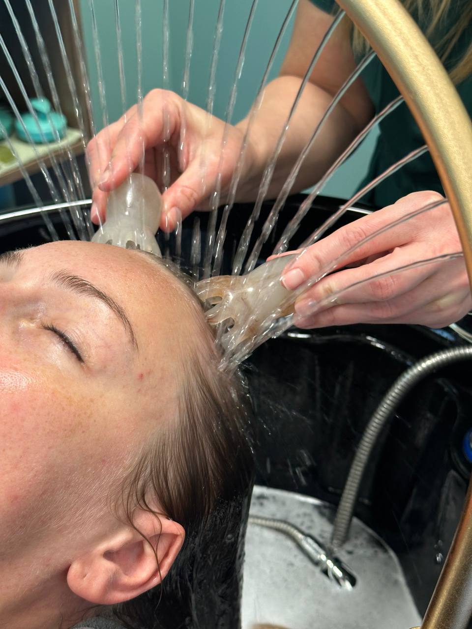 Harmoonia ja uuenemine